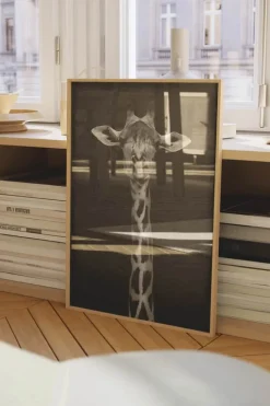 Poster&Frame Plakat - Giraffe Portrait B 50 x L 70 cm- Papir - Sort
