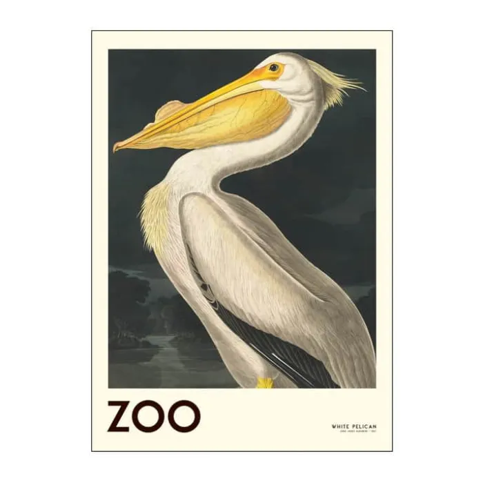 Poster&Frame Plakat - White pelican B 30 x L 40 cm - Papir - Hvid/sort/gul