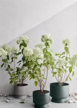 Rosendahl RO Urtepotteskjuler Ø 24 cm - Genbrugsplast - Grøn