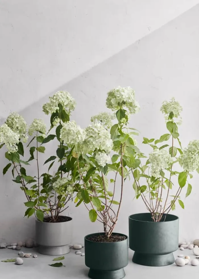 Rosendahl RO Urtepotteskjuler Ø 24 cm - Genbrugsplast - Grøn