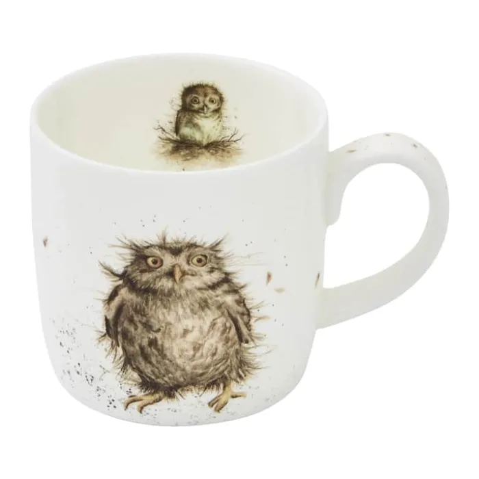 Royal Worcester Wrendale Krus - What a hoot 31 cl - Benporcelæn - Multifarvet