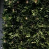 Sirius Tech-Line Lysnet B 170 x L 140 cm - 196 LED lys - Sort