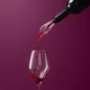 Sommelier by CASA Living Sommelier Vinilter Ø 3,5 x 12 cm - Plastik - Sort