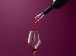 Sommelier by CASA Living Sommelier Vinilter Ø 3,5 x 12 cm - Plastik - Sort