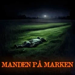 Spilbræt Mysteriet fra 1994 – Manden på marken 2 spillere