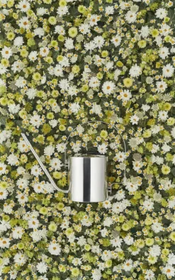 Stelton Original Vandkande H 24,5 x B 13 x D 33 cm - Stål