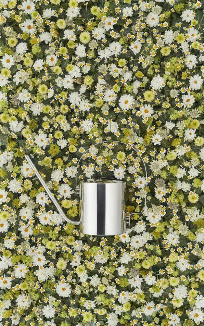 Stelton Original Vandkande H 24,5 x B 13 x D 33 cm - Stål