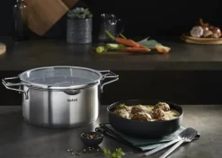 Tefal Nordica Gryde m. glaslåg 4,8 liter - Rustfrit stål