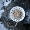 Wik & Walsøe Julemorgen Story Dyb Tallerken - 2 stk. Ø 16 cm- Porcelæn - Multifarvet