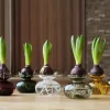Zone Inu Vase H 9 cm - Glas - Smoked Grey